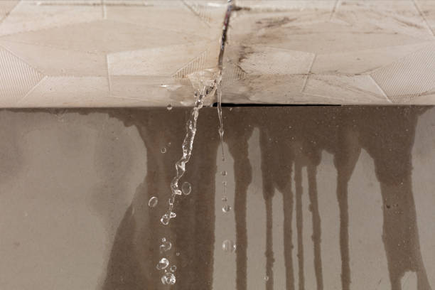 Professional Burst Pipe Cleanup technician working in Elwood, NY